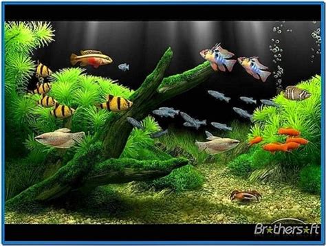 Animated Fish Tank Screensaver Mac Download Screensaversbiz