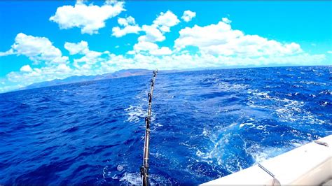 Solo Fishing Hawaii Deep Sea Fishing Oahu Aku Fillet Youtube