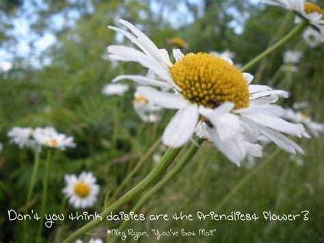 A curated collection of the best quotes about friendship. Famous quotes about 'Daisy' - Sualci Quotes 2019