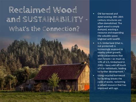 The Sustainability Of Reclaimed Wood