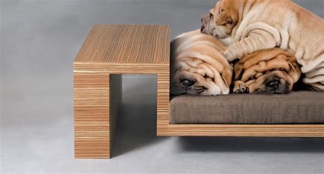 Design dog!! | Mobiliário modular, Diycore e Camas para animais