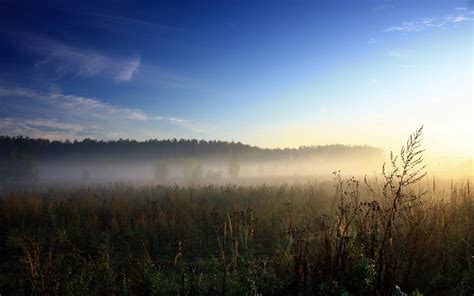 Foggy Field Wallpapers 4k Hd Foggy Field Backgrounds On Wallpaperbat