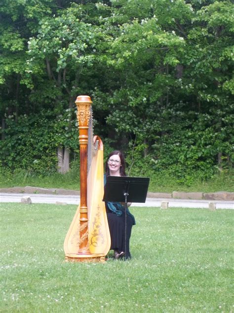 Cleveland Wedding Harpist ~ Ceremony In Cuyahoga Valley National Park