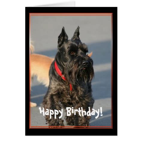 Happy Birthday Scottish Terrier Greeting Card Zazzle
