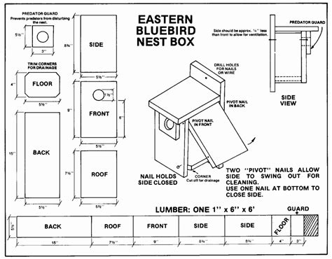 This little house seems rather simple. Blue Jay Birdhouse Plans Fresh Lovely Simple Bird House The Chickadee Nuthatch Home Elements And ...