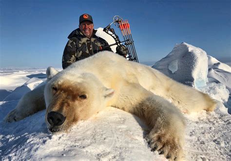 Polar Bear In The Frozen Arctic Quality Hunts