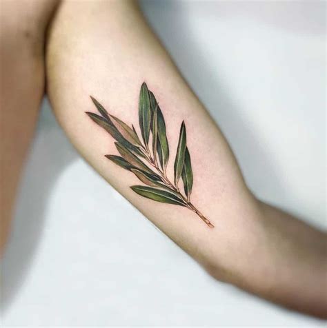 Aggregate More Than 74 Small Olive Branch Tattoo Latest Incdgdbentre