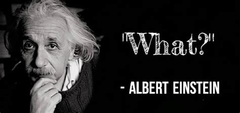 Albert Einstein Asked The Hard Questions So You Dont Have To 1080x516