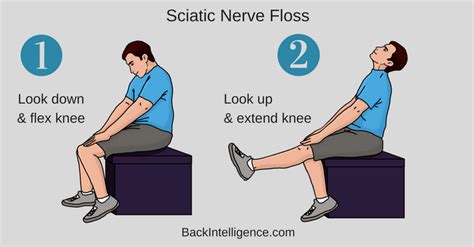 5 Sciatica Exercises For Pain Relief From Home With Pictures Nerve