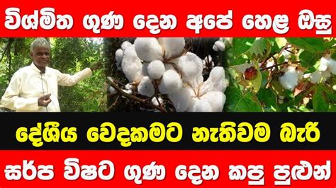 Sinhala Ath Beheth Kapu Pulun Story Eka Youtube