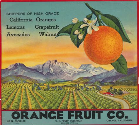 Crate Label For The Orange Fruit Company Orange California Ca 1945
