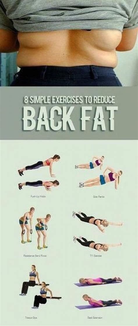 Day Back Fat Exercises At Home No Equipment For Fat Body Fitness And Workout ABS Tutorial