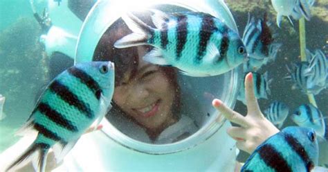 Seawalker Bali Sanur - Harga Murah Aktivitas Marine Walk Tour 2022
