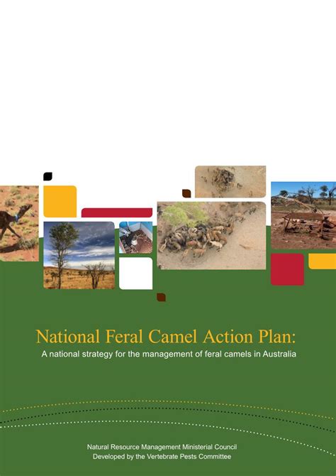National Feral Camel Action Plan A National Strategy For The