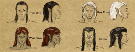 i-drew-some-rough-sketches-of-how-the-different-elven