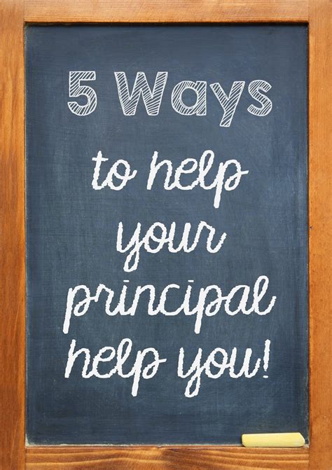 Ms Lilypads Primary Pond 5 Ways To Help Your Principal Help You