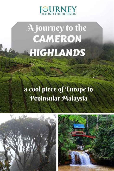 What are some of the property amenities at cameron highlands resort? A journey to the Cameron Highlands, Peninsular Malaysia in ...