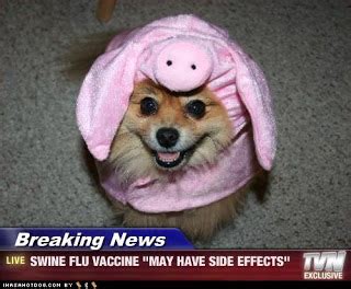 Some of the most common memes about vaccines make it appear that a vaccine can have some radical side effects. Breaking News Animals Edition | Funny Pinoy Jokes ATBP