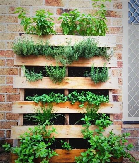 Diy Ideas How To Build A Vertical Herb Garden From A Wooden Pallet