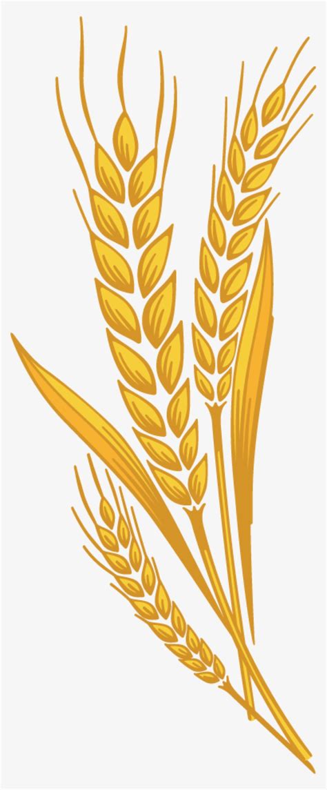 Barley Cliparts Free Download Barley Clip Art Images