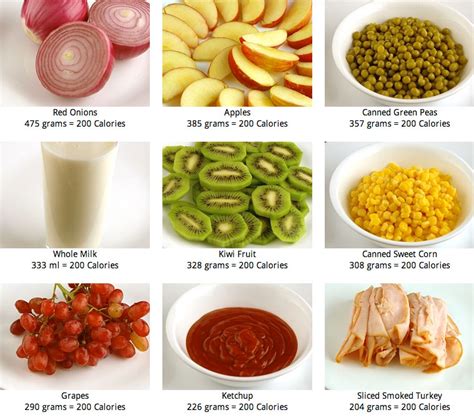 Si la comida es de un restaurante o producir o carne que no tiene una lista. Horacio Fritzler, experiencias ELAsticas y otras : GLOSARIO DE PALABRAS Y ACCIONES DE LA ELA