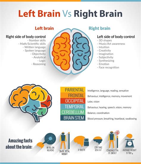 The Left Brain Vs Right Brain Confusion Infographic Social Thinking