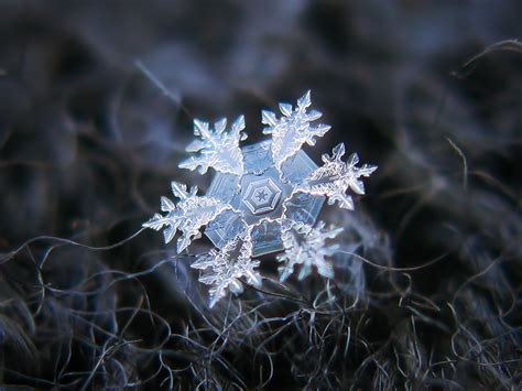 Real snowflake | Real snowflake macro photo. Ideas for home … | Flickr