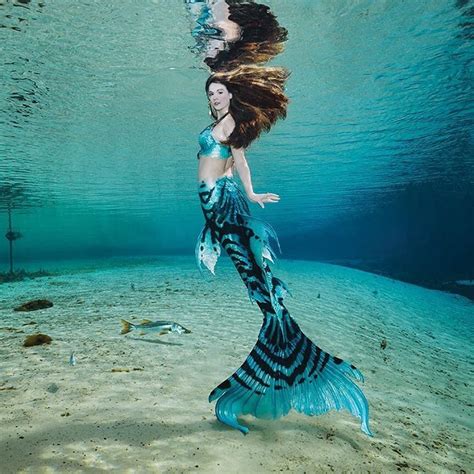 Real Mermaid Underwater