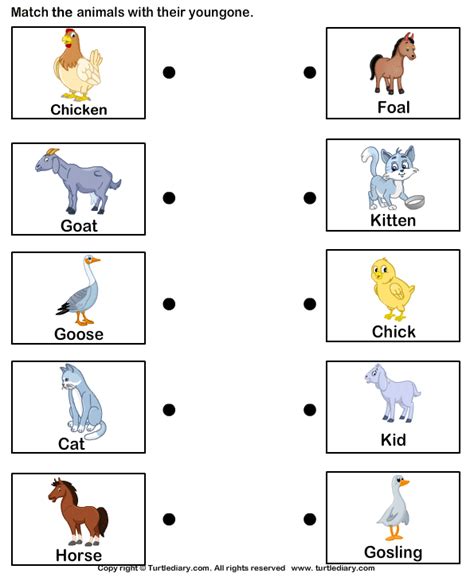 Animal And Their Babies Worksheets