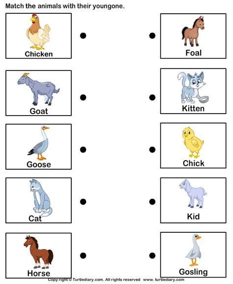 Worksheet Count And Match Farm Animals Lookbook Educa