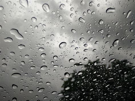 Tetes Hujan Hari Foto Gratis Di Pixabay Pixabay