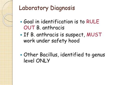 Ppt Gram Positive Bacilli Part One Powerpoint