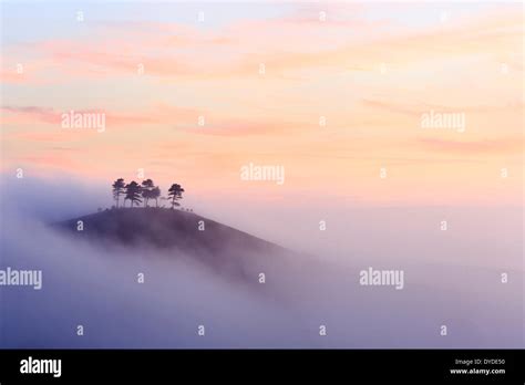 Colmers Hill In Dorset On A Misty Autumn Morning Stock Photo Alamy
