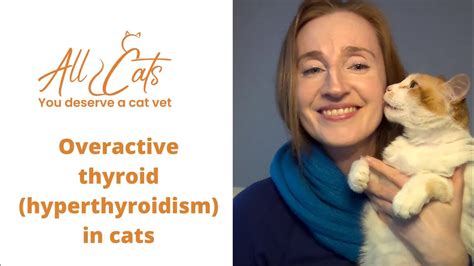 Overactive Thyroid Hyperthyroidism In Cats