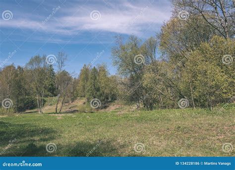 Plain Simple Countryside Spring Landscape With Fresh Green Meadows And