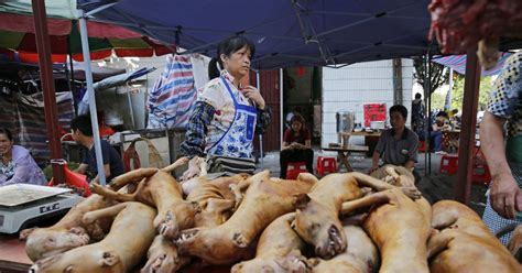 Jne Sorogenen Hina Banser - China city bans Christmas in ...