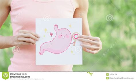 Woman With Health Stomach Stock Photo Image Of Body 115767176