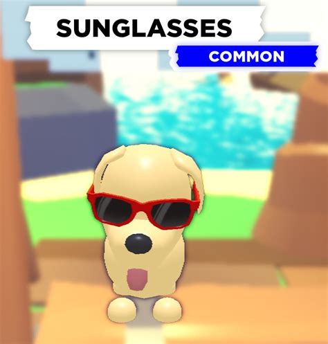 Players can also buy some specific types of pets using robux or event currencies. Sunglasses | Adopt Me! Wiki | Fandom