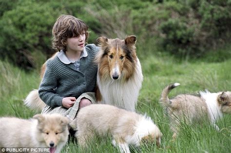 Real Life Lassies Study Shows Dogs Really Will Rush To Help Their