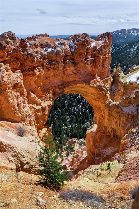 Natural Bridge Rock Formation Photograph By Evgeniya Lystsova Fine