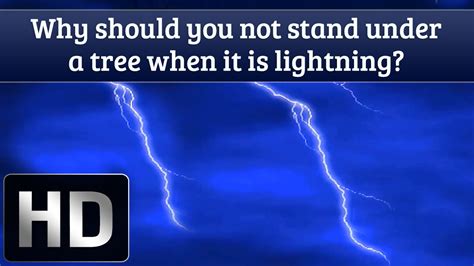 Why Should You Not Stand Under A Tree When It Is Lightning Youtube
