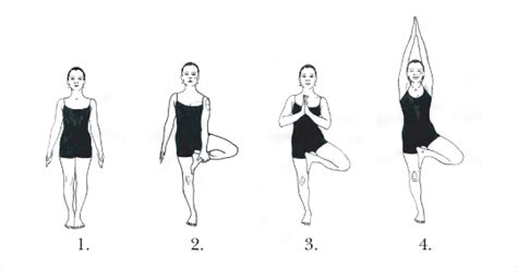 Steps To Perform Vrikshasana Benefits Of This Yoga Posture