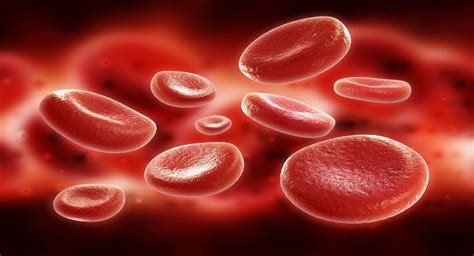 Here Are The 5 Most Common Blood Disorders You Should Know About