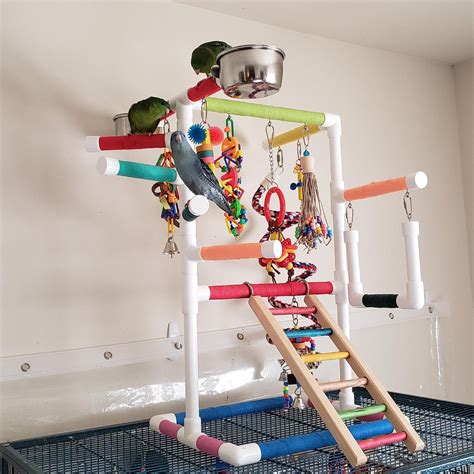 The Indulger Tabletop Version Exciting Bird Play Gym And Play Stand