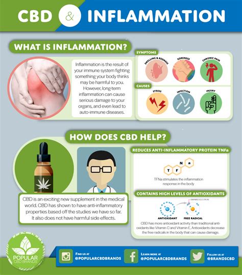 Cbd And Inflammation Infographic Rcbdoilreviews