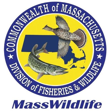 Quiz The Fish Mammals And Birds Found On The Logos Of 50 State