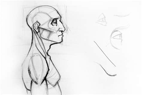 Human Body Side View Drawing Outline Drawing Sketch Of Side Profile