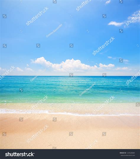 Beach Tropical Sea Stock Photo 124528084 Shutterstock