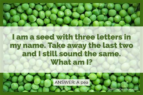 Good Riddles With Answers To Stump Your Friends Greeting Card Poet