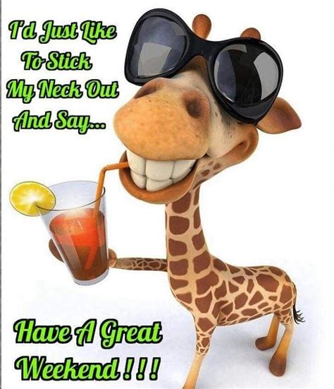 It'll be great if it is pointless, relaxing and funny. Have a great weekend.😃☕🙏🇺🇸 | Great weekend quotes, Morning ...